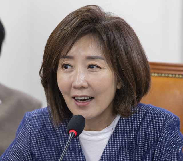 나경원 "한동훈 의원 자료 불법성 있으면 진상 밝혀져야"